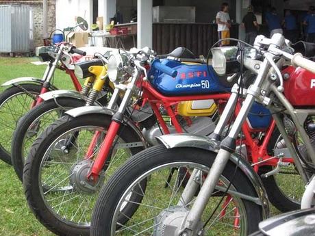 Piccoli Bastardi reunion