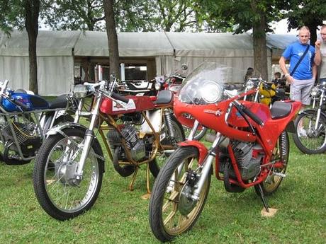 Piccoli Bastardi reunion