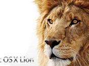 Lion: diamoli sguardo vicino.