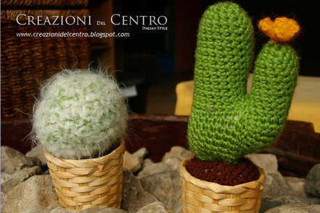 Un cactus in regalo...