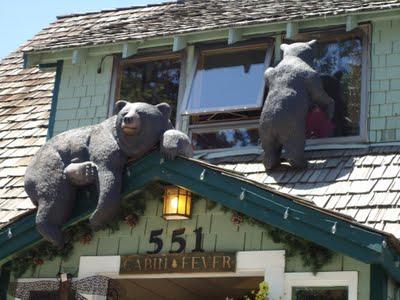 Una gita a Lake Tahoe/2: Case, orsi e motoseghe