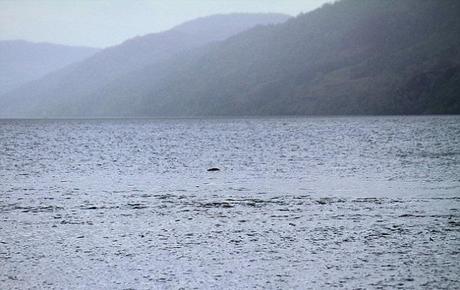 NUOVE Foto: Mostro di Loch Ness o un bastone?