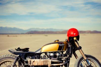 El mirage #2 by Jesse Carmody