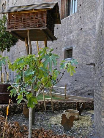 Torino. Orto e giardino a Palazzo Madama