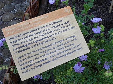 Torino. Orto e giardino a Palazzo Madama