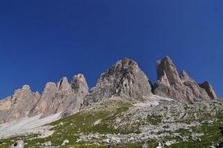 Grappa e sciroppo di Pino Mugo