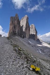 Grappa e sciroppo di Pino Mugo