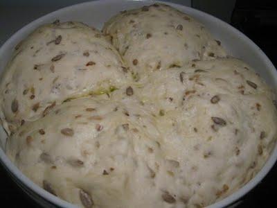 Panini con i semi di girasole