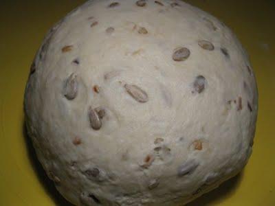 Panini con i semi di girasole