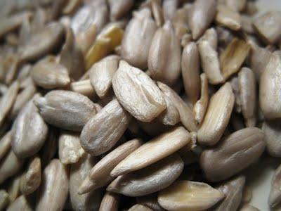 Panini con i semi di girasole