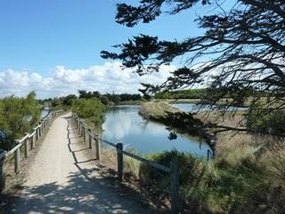 La costa della Vandea e le sue isole