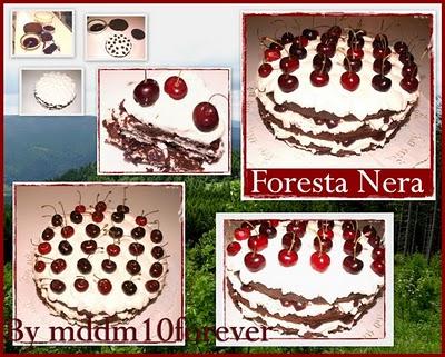 FORESTA NERA