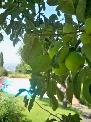 Gli ospiti di Villa Petriolo nel paradiso sul Montalbano del Residence Casa Italia per 