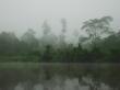 L'Indonesia deve proteggere milioni ettari foreste