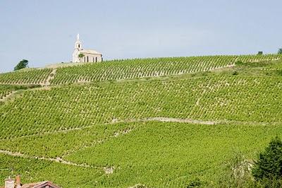 Quarta giornata: I misteri del Beaujolais.