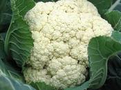 Cosa coltivare nell’orto, come cavolfiore