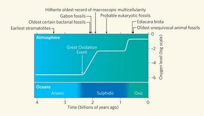 Vita multicellulare due miliardi di anni fa, ecco le prove