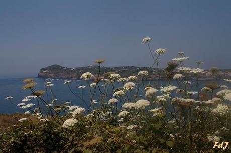 Ventotene