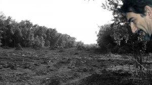 Gli spiriti di Pedemontana