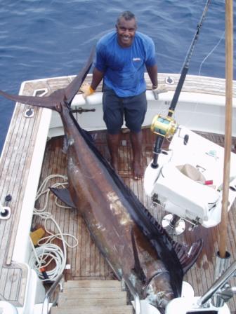 Un Blue Marlin da 500lb alle Fiji