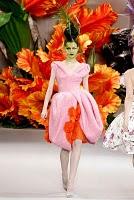 Christian Dior haute couture autunno-inverno 2010-2011 / Christian Dior haute couture fall-winter 2010-2011