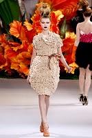 Christian Dior haute couture autunno-inverno 2010-2011 / Christian Dior haute couture fall-winter 2010-2011