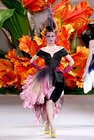 Christian Dior haute couture autunno-inverno 2010-2011 / Christian Dior haute couture fall-winter 2010-2011