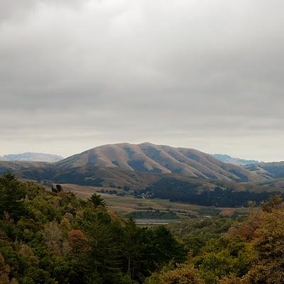 DIRTY PROJECTORS & BJORK - Mount Wittenberg Orca...