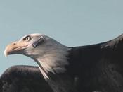 Auricolare Bluetooth Samsung Divertente Video Virale