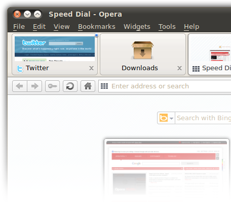 Opera 10.60 in esecuzione in Ubuntu 10.04