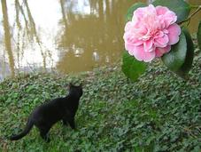 relativismo assoluto! parte