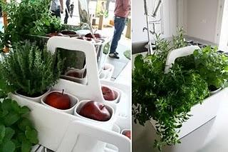 L’orto trasportabile_Transportable Kitchen Garden