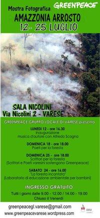 A Varese l’Amazzonia che brucia