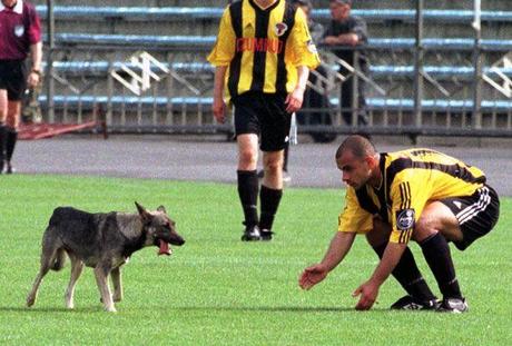 GEORGIA, ARRESTATO DEMETRADZE: EX ATTACCANTE DELLA NAZIONALE - GEORGIA, ARRESTED DEMETRADZE: FORMER NATIONAL TEAM FORWARD