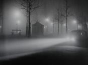 J’aime brouillard