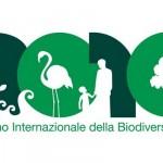 Un Parco di biodiversità – Conferenze estive al Centro Visite di Pescasseroli