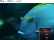 YouTube presenta nuova risoluzione dettagli elevatissimi!