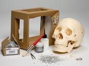 From Flavorwire: Create Your Damien Hirst Diamond-Encrusted Skull