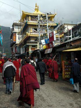 LA VITA DEI RIFUGIATI TIBETANI IN INDIA E LA CONFLITTUALITà CON LA POPOLAZIONE LOCALE