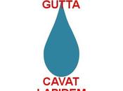 Gutta cavat lapidem