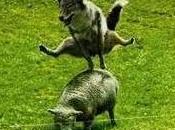 L'ultimo editoriale eurogamer forse no?)