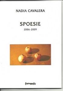 QUEL CHE RESTA DEL VERSO n.47: Poesie civili per una terra ormai diventata in-civile. Nadia Cavalera, “Spoesie (2006-2009)”