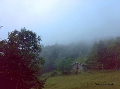 Il soffio del bosco