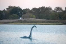 Nessie un mostro reale?