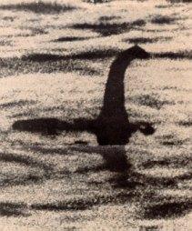 Nessie un mostro reale?