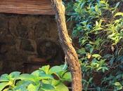 Colti, agriturismo Cannigione, Sardegna