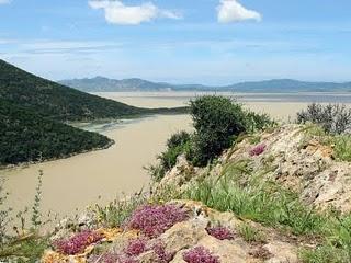 Parco Nazionale di Ichkeul