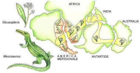 Pangea: passato, presente, futuro.