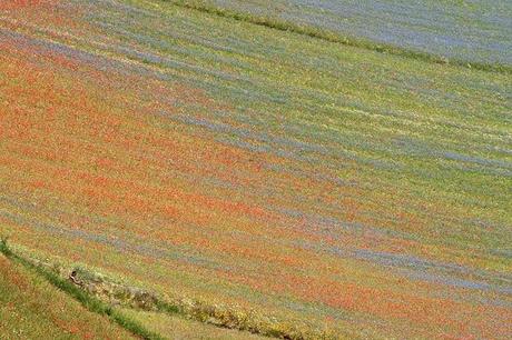 Ritagli di paesaggio con arte