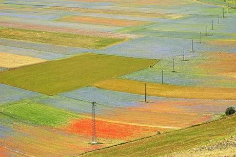 Ritagli di paesaggio con arte